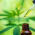 CBD for Athletes Guide