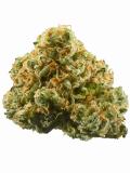ACDC Strain — Powerful Pain Relief With Little Intoxication