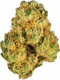 Animal Face Strain — Amped Up and Animalistic