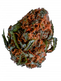 Citral Glue Strain — Get Mentally Stimulated and Stress-Free