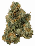 Ecto Cooler Strain — It’ll Get Ya Goin’