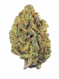 Fruit Punch Strain — Punch Your Day in the Face