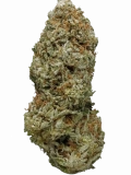 Lemon Skunk Strain — Citrus and Classic Skunk Combined