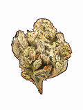Loud Scout Strain — Soothe Pain Without Snoozing
