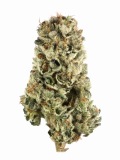 MTF Strain — A Marvelous Mashup of Magnificent Landrace Strains
