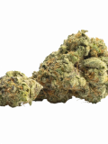 Bacio Gelato Strain — You’ll Be Saying Mama Mia