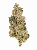 Banana Split Strain — A Relaxing Treat in a Tropical Package