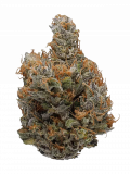 Mr. Nice Guy Strain — Just Right for a Nice Time