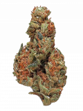 Panama Red Strain — A Superstar From the ’60s