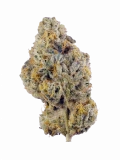 Golden Lemon Strain — Solid Gold Citrus Soul