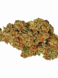 Gorilla Breath Strain — Get Lost in the Mists
