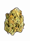 Hashplant Haze Strain — Blaze Through Your Days With This Happy Haze