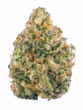 Ice Strain — Feel as Cool as Ice