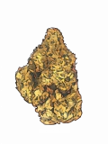 III OG Strain — Get Couch-Locked and Loaded