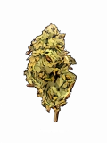 Island Haze Strain — Take a Trip to the Beach