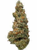 Jack Frost Strain — Frosty, Fanciful, and Fun