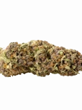 Jager Strain — Licorice Lovers Rejoice