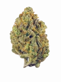 Jenny Kush Strain — A Memorial Medical Strain