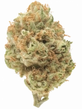 Jillybean Strain — Energize with Tropical Fun