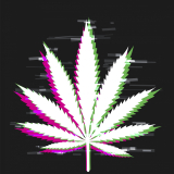 It’s Almost 2022 and Marijuana is Still Considered Dangerous Pt. 2