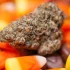 Cannalope Haze Strain — It’ll Leave You in a Happy Daze