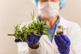 Did the DEA Just Advocate for Marijuana Legalization?