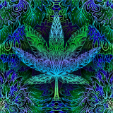 Friday (10/29) Marijuana News Roundup