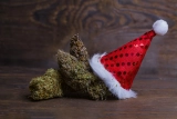 5 NYE Strains for Celebration