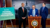 Democratic Senators Introduce Federal Legalized Marijuana Bill