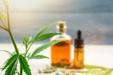 Full Spectrum CBD Oil – Unlock the #1 Surprising Healing Power of
