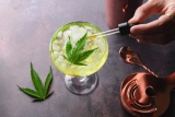 Sip Your Way to Serenity: The #1 Ultimate Guide to CBD Drinks