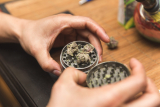 Grind and Shine: 7 Types of Weed Grinders On The Market