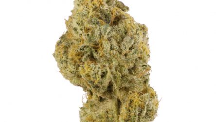 Wedding Cake OG Strain
